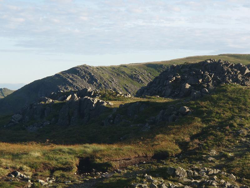 Rhinnogs 033.jpg
